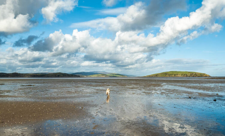 A Walk Of Balcary Cliffs - Dumfries And Galloway | BaldHiker