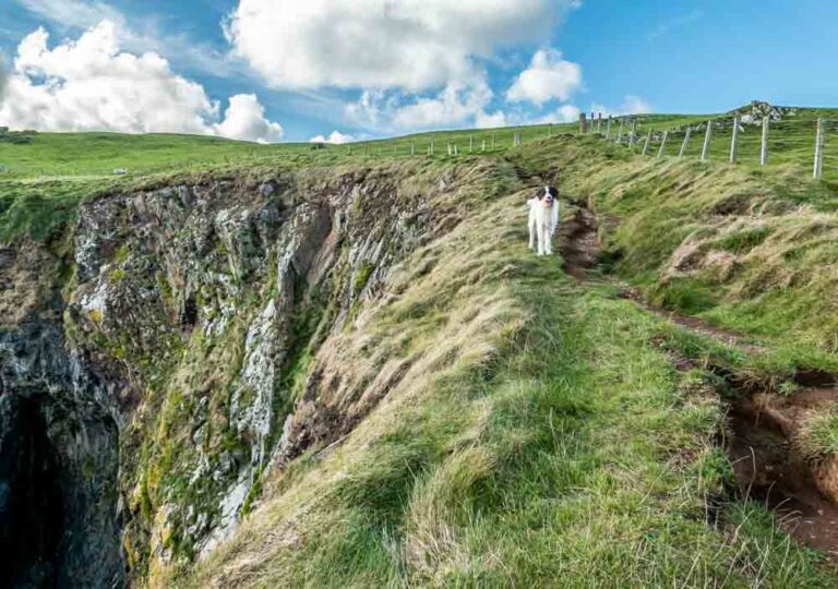 A Walk Of Balcary Cliffs - Dumfries And Galloway | BaldHiker