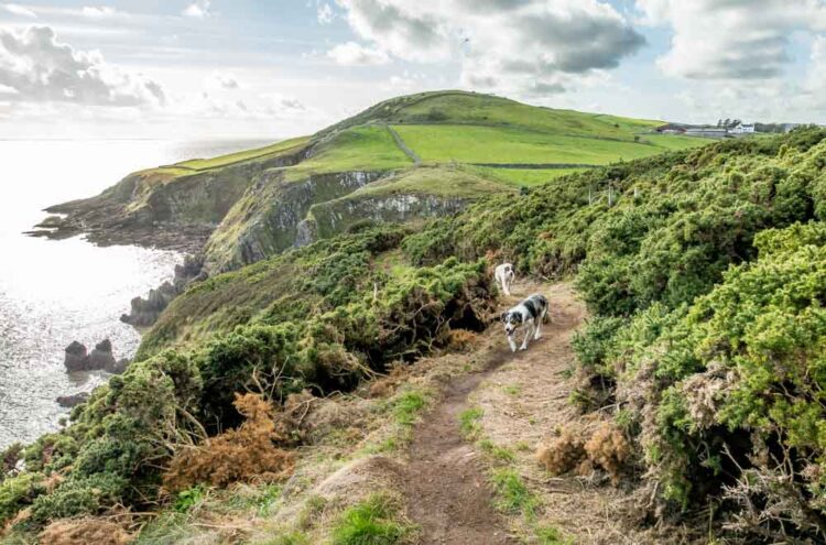 A Walk Of Balcary Cliffs - Dumfries And Galloway | BaldHiker