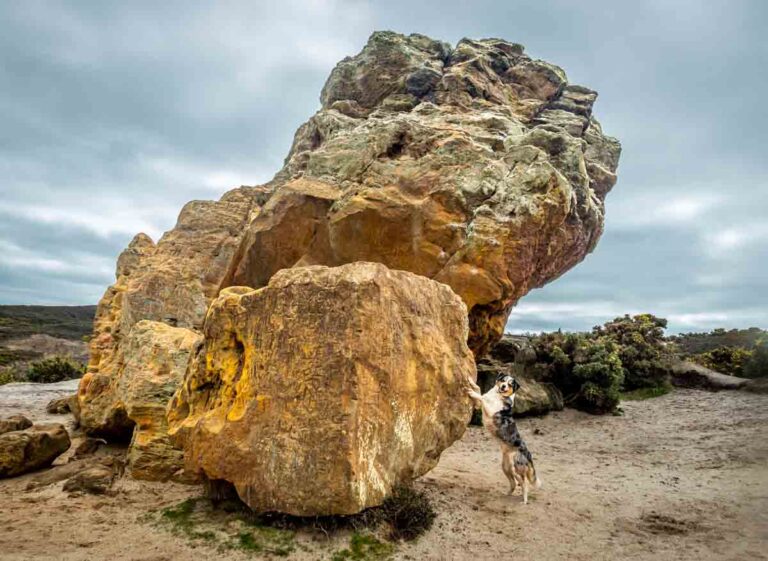 Agglestone A Walk To Agglestone Rock, Dorset | BaldHiker
