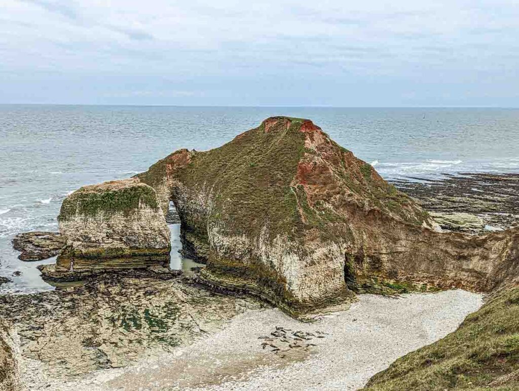 dinosaur rock at Flamborough