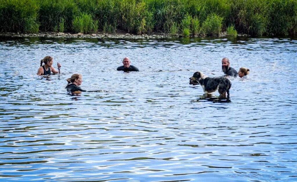 group of wild swimmers