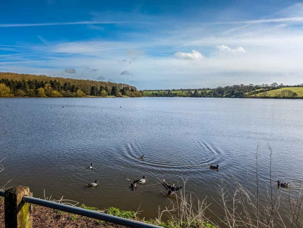 dawn at Thornton Reservoir