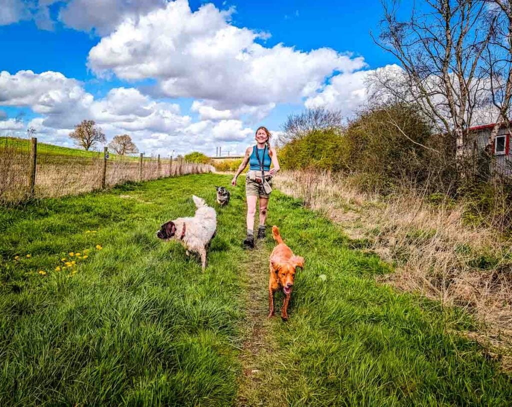 A Walk of Thornton Reservoir and Bagworth Heath, Leicestershire 1