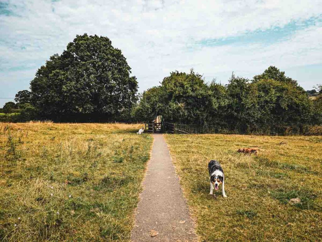 footpath leaving Lacock