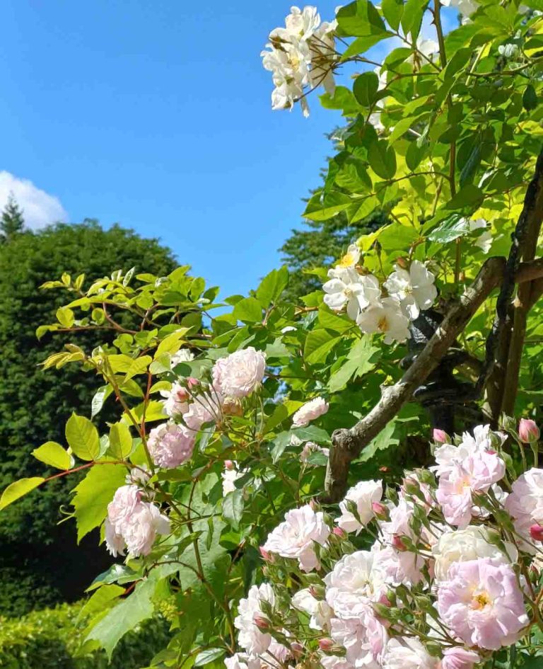 A Day at Brodsworth Hall and Gardens: Yorkshire’s Hidden Victorian Gem ...