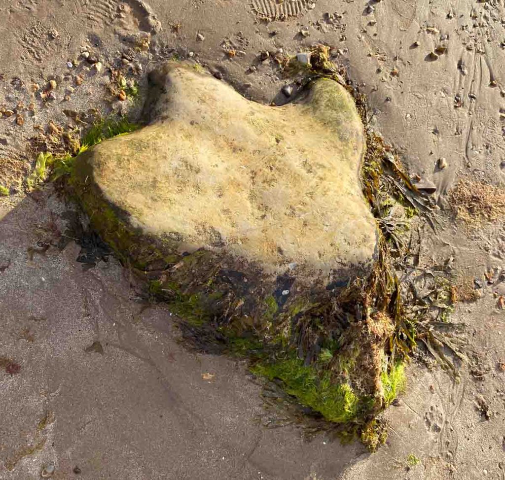 Dinosaur Sandun Beach