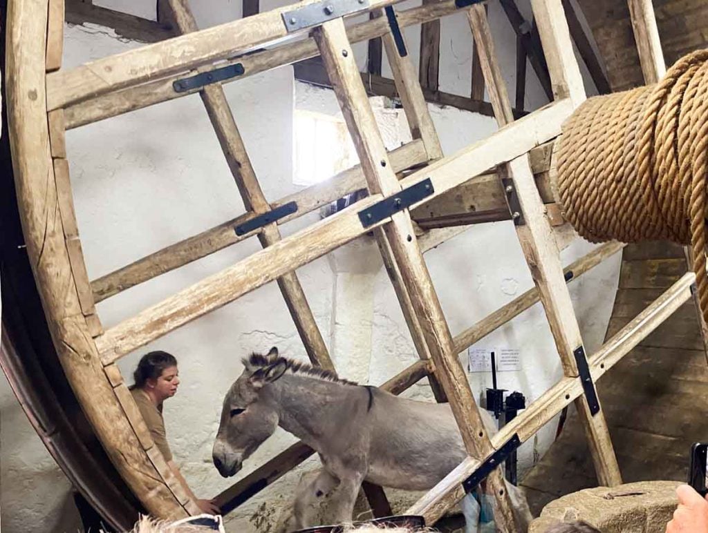 Carisbrooke Castle donkey and wheel working