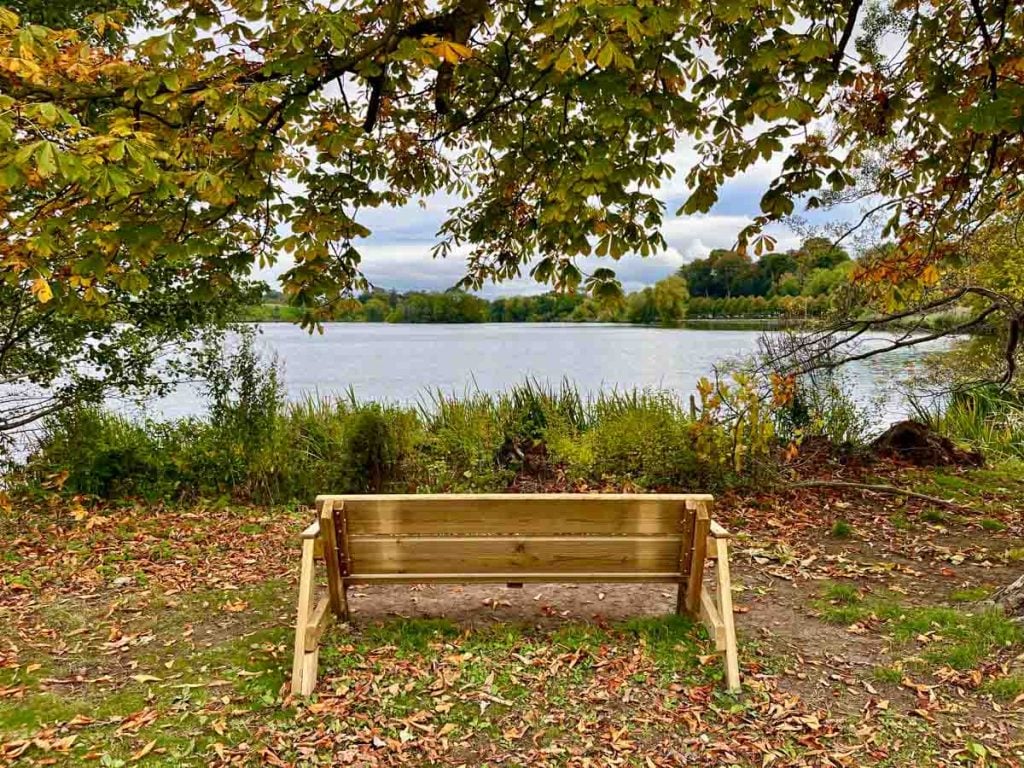 bench on the lake walk
