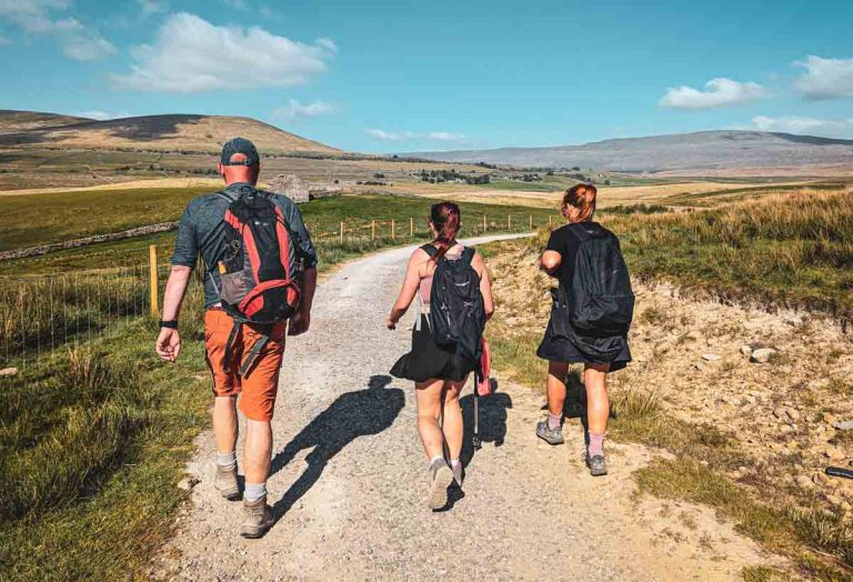 a group of hikers with backpacks on
