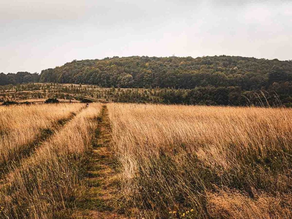 approaching Bardon Hill