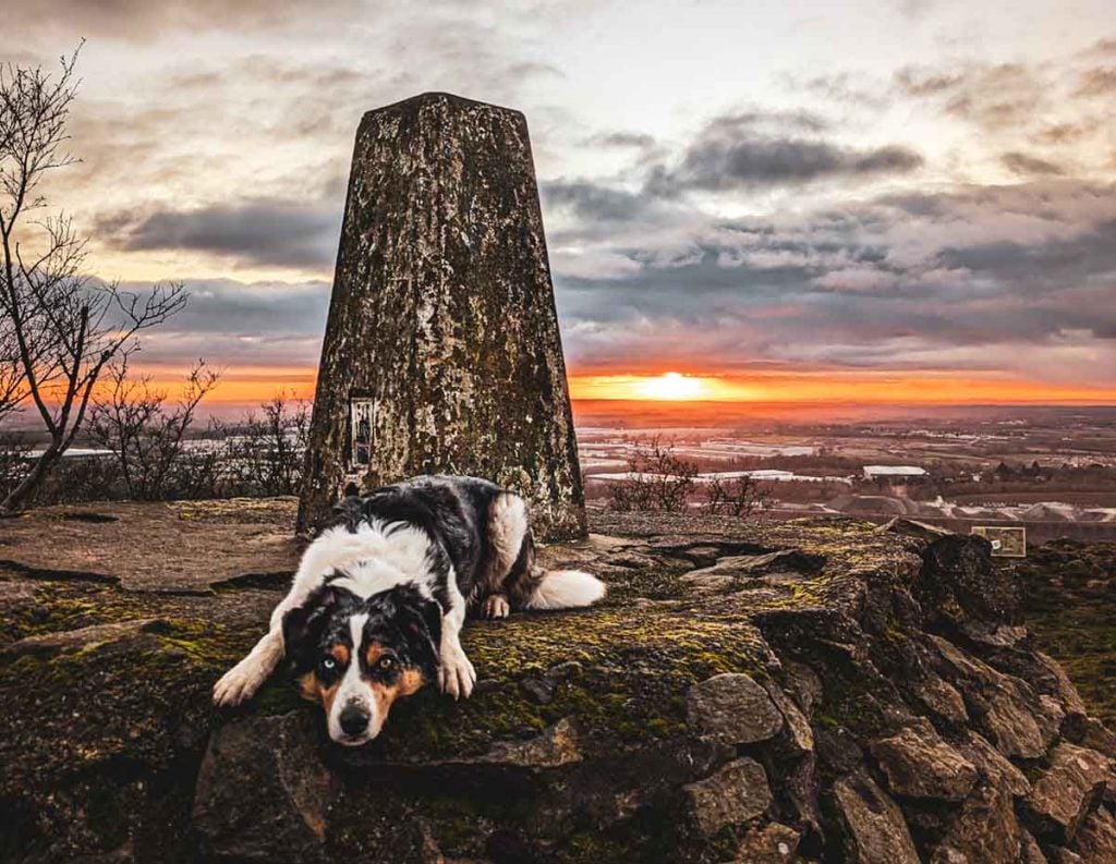 dog at the summit of Bardon Hill at sunset
