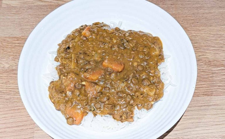 camping lentil curry in a bowl with rice