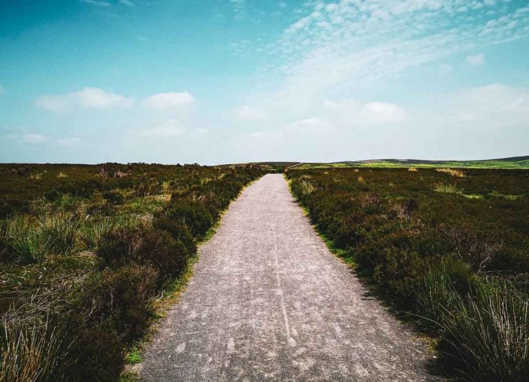 clear wide path in the wilderness