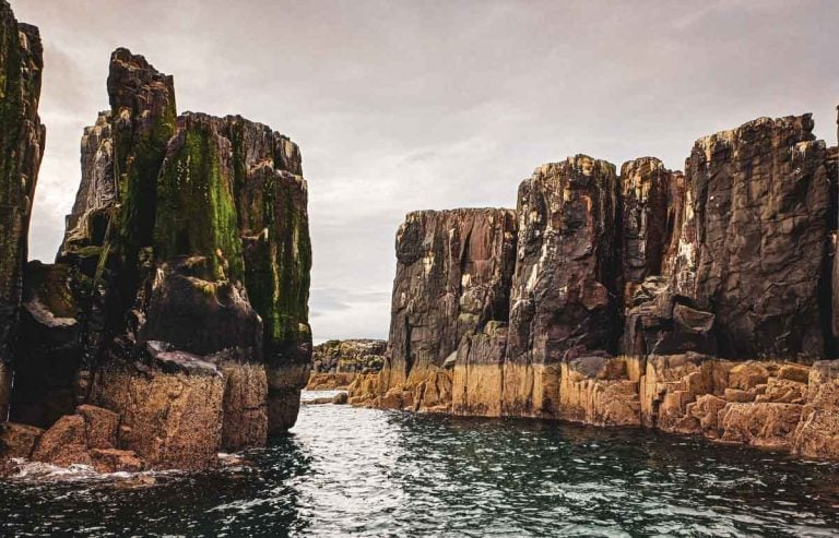 rocks of Staple Island on Farne Islands