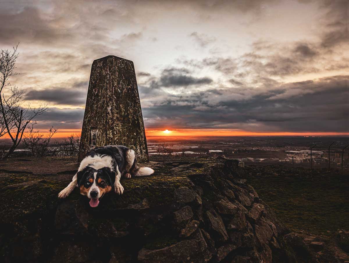The Concrete Sentinel: Your Ultimate Guide to Trig Points | BaldHiker