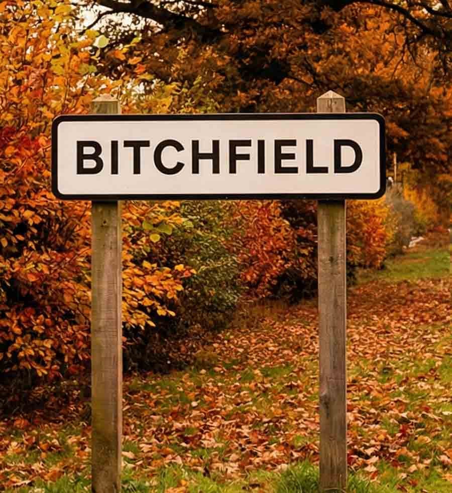 road sign for Bitchfield in Autumn