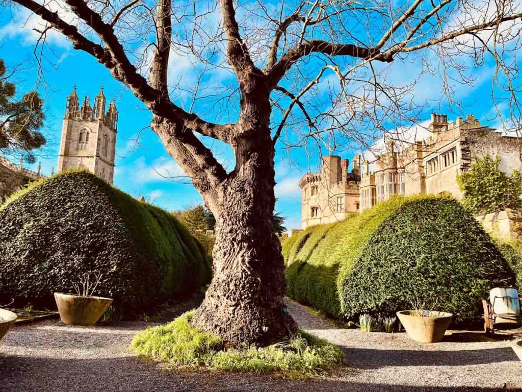 tudor gardens at Thornbury castle