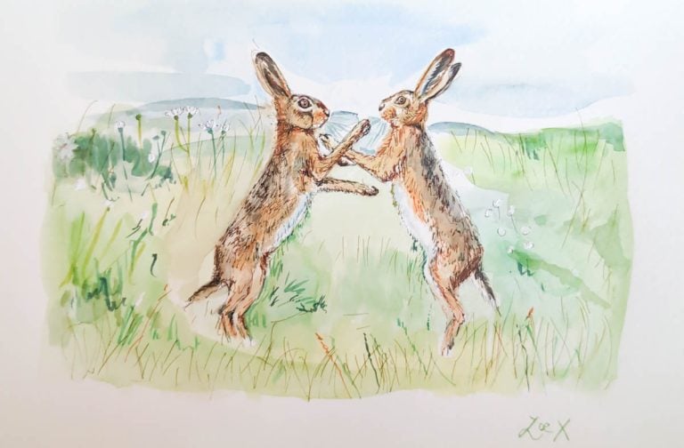 illustration of boxing hares