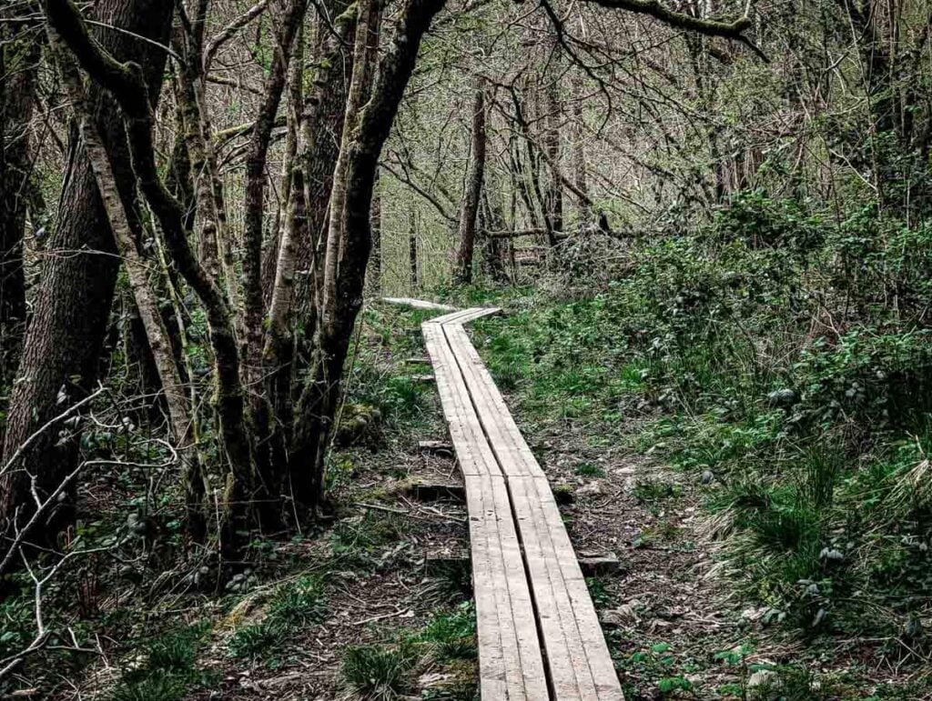 boardway on Nant Llech Walk