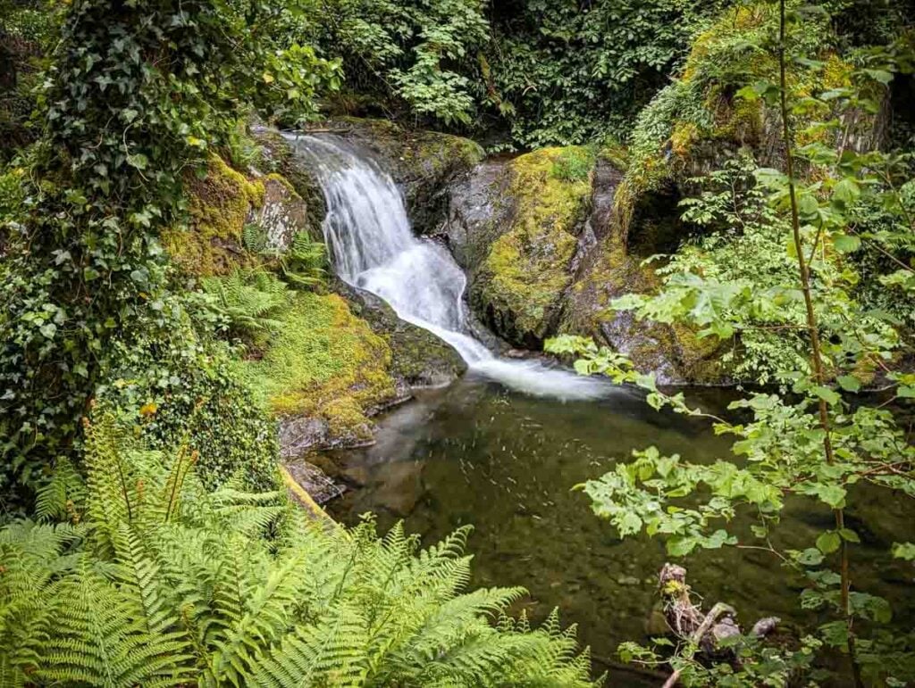 Dolgoch Falls upper falls from path above