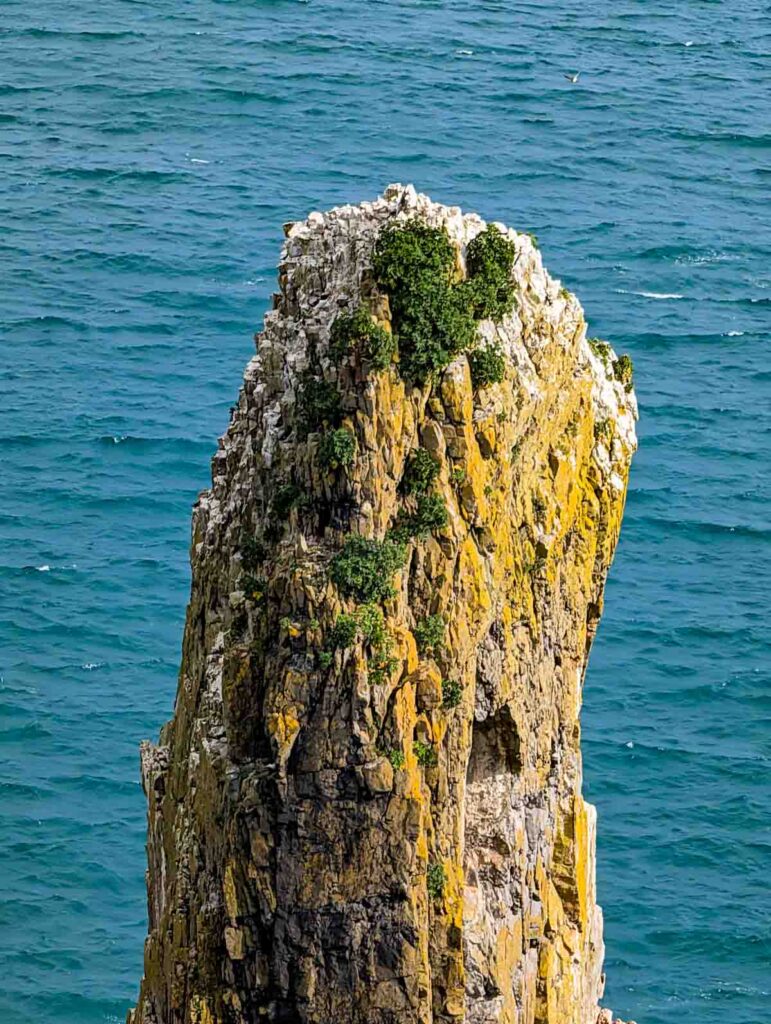 Elegug Stacks top section