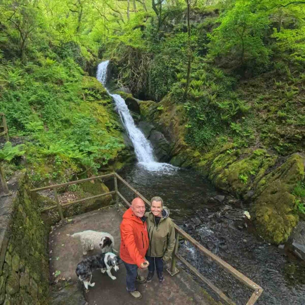baldhiker and dogs at Dolgoch Falls lower fall