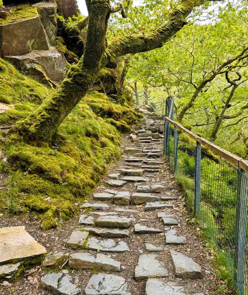rocky path at Dolgoch Falls