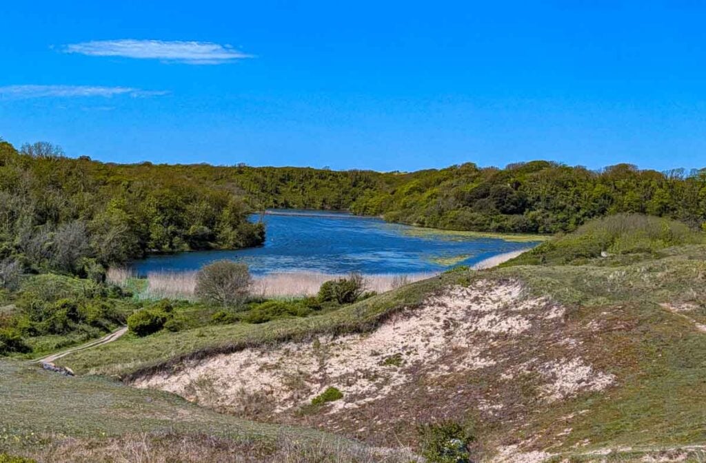 sand dunes and bosherston lily ponds