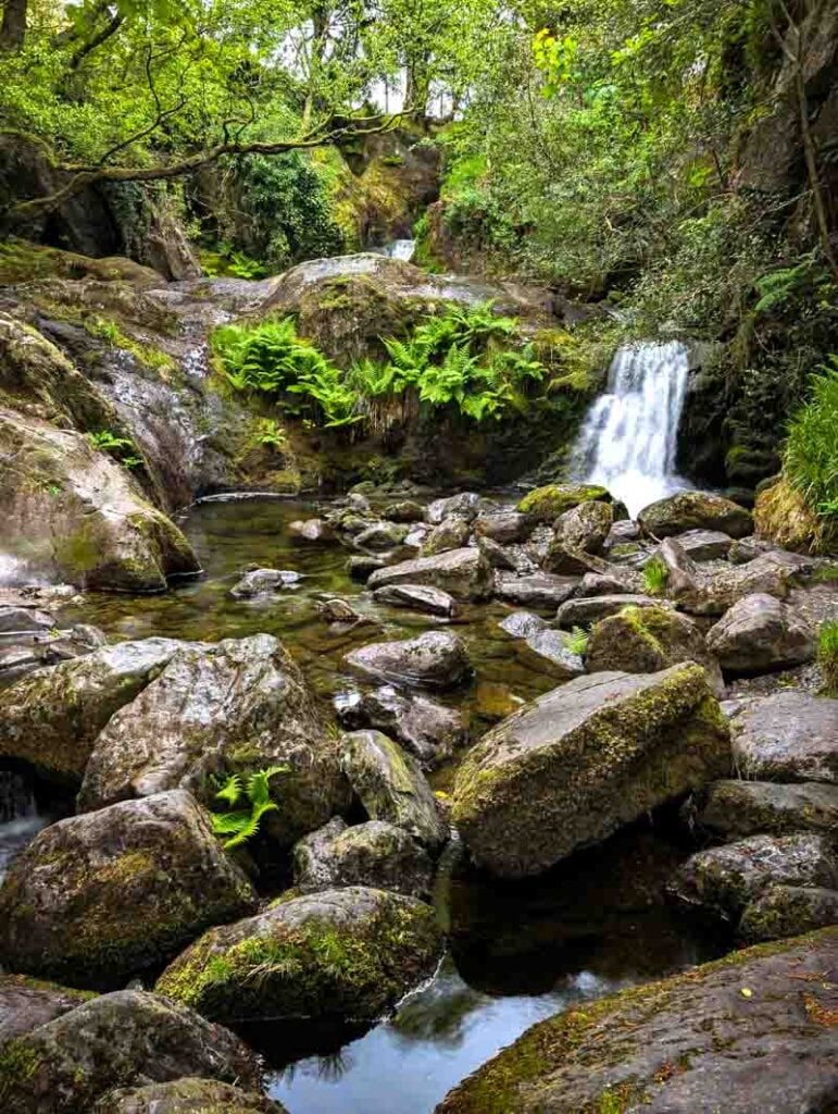 small falls at the top of Dolgoch Falls walk