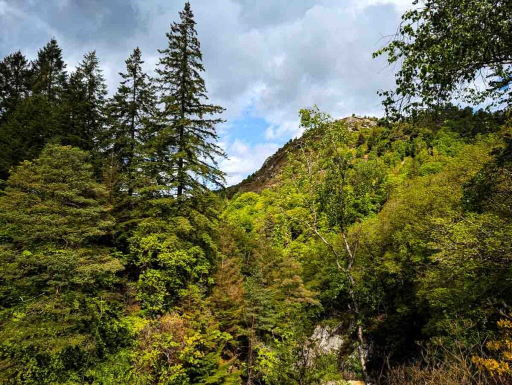 the woodland and views on the path down to conwy falls