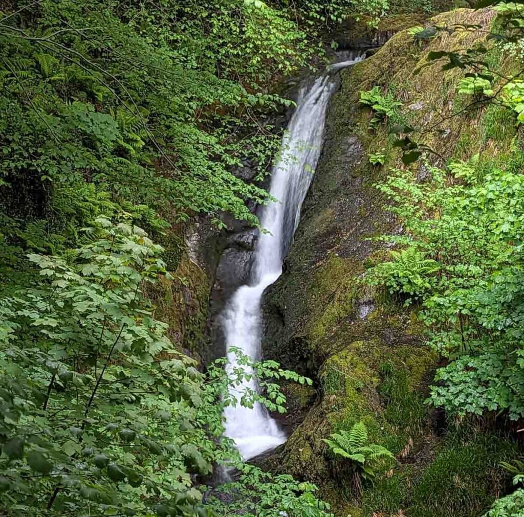 upper falls at Dolgoch Falls