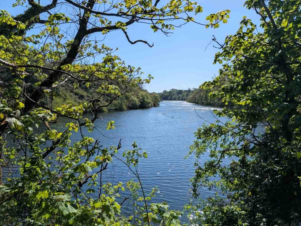 view through the trees to bosherston Lily ponds