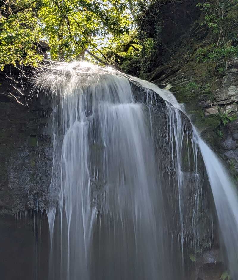 water coming over the top of Melincourt Waterfall