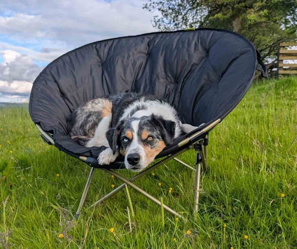Malc the dog in moonbase camping chair