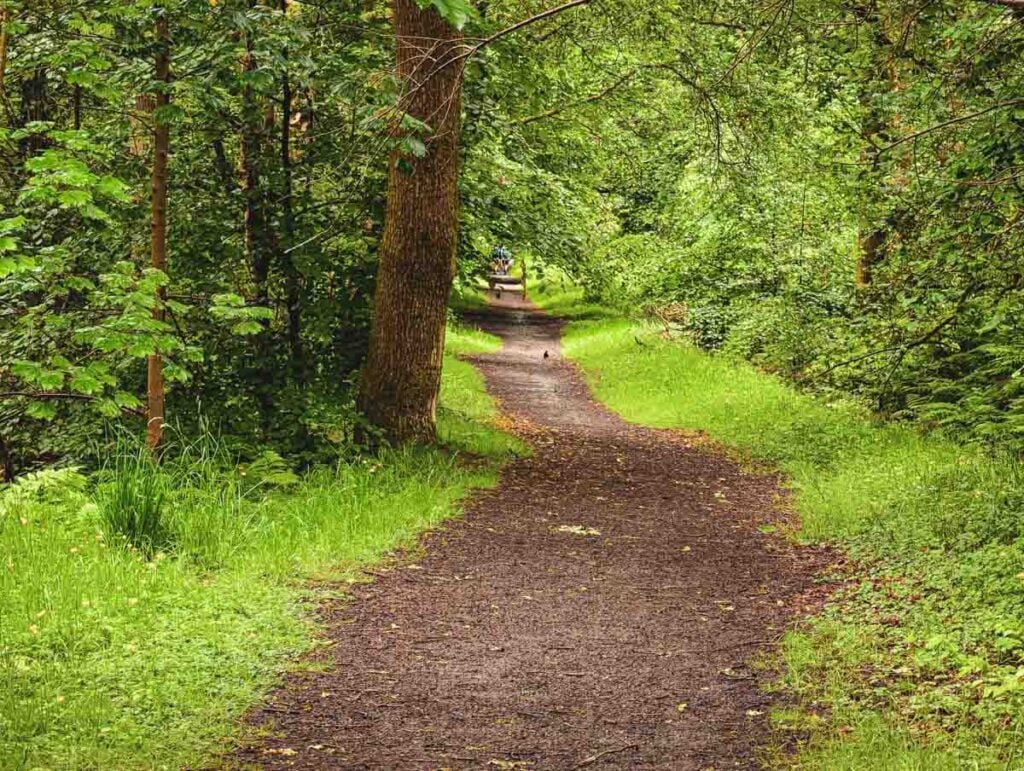footpath near falkirk wheel