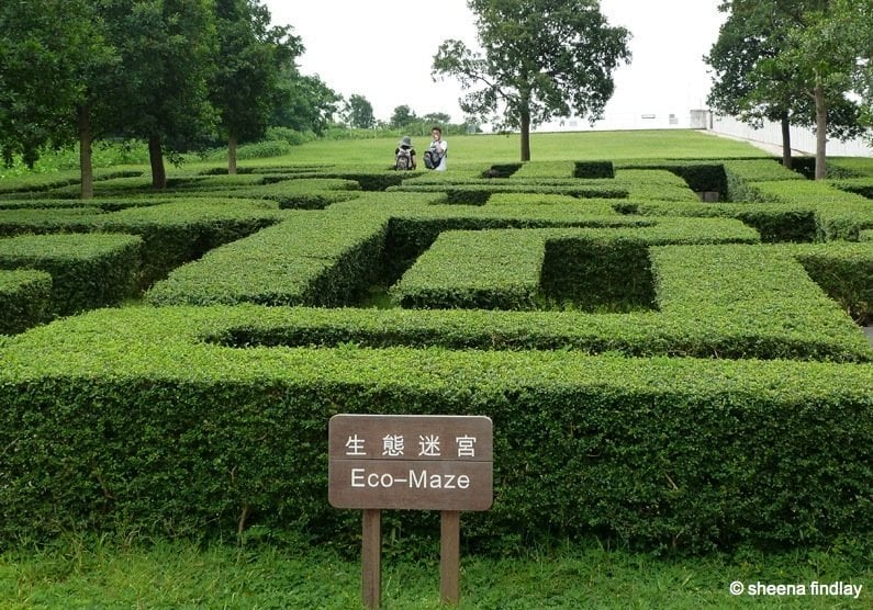 The Wetland Park, Hong Kong