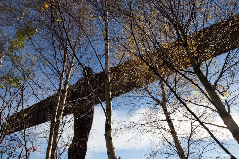 The Angel of the North: standing tall The Angel of the North from behind the trees