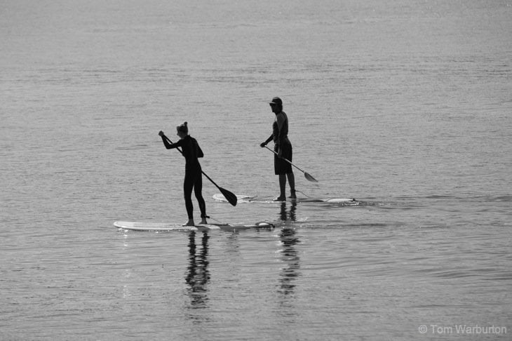 Paddleboarders on the Tofino coast. 