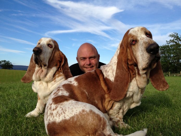 The Basset Hounds My Faithful Scoundrels BaldHiker