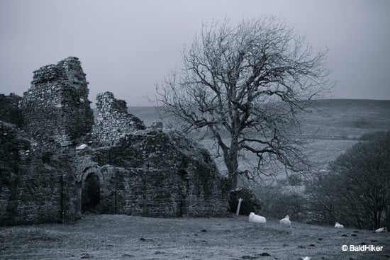 Pendragon Castle - Romantic ruin of Mallerstang sheep and the castle