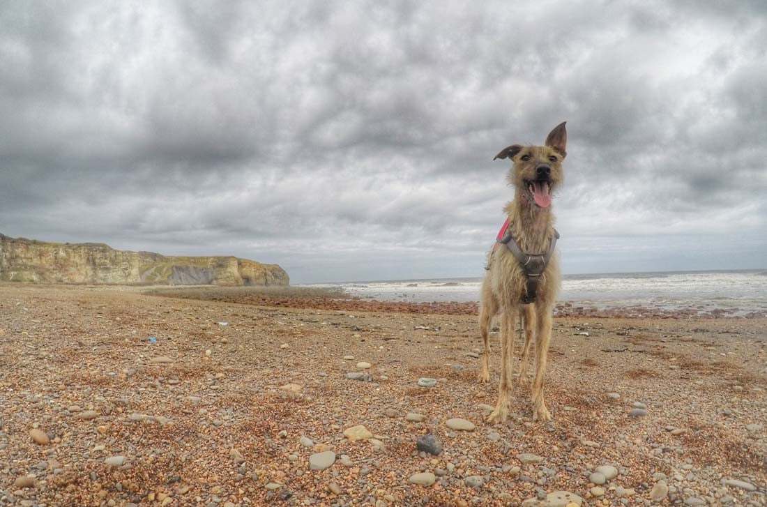 Walk Along The Durham Heritage Coast 2