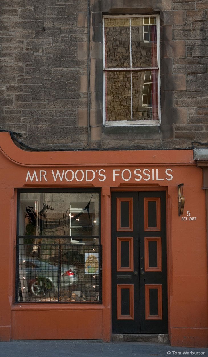 Mr Wood's fossils