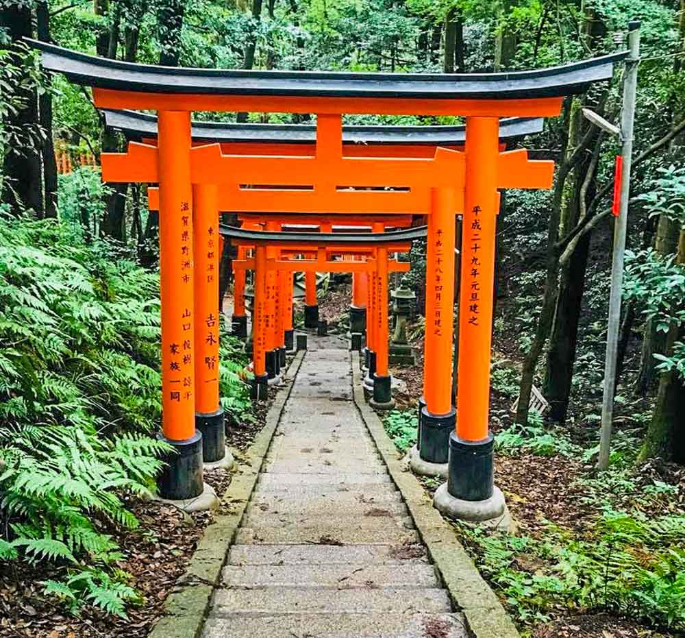 Kyoto and Fushimi Inari temple