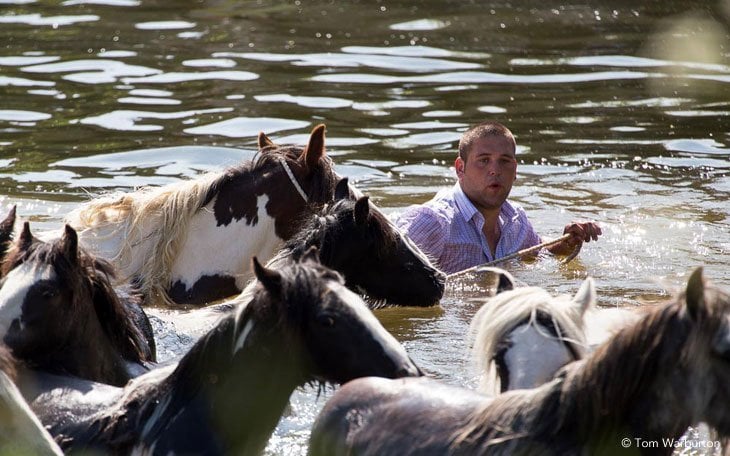 Appleby Horse Fair - Washing Down in the River