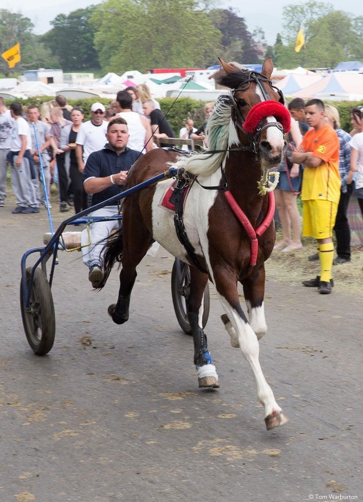 Appleby Horse Fair - Trotting and Racing The Flashing Lane