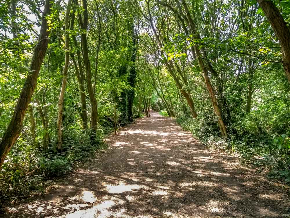 tree lined path at oakwell hall