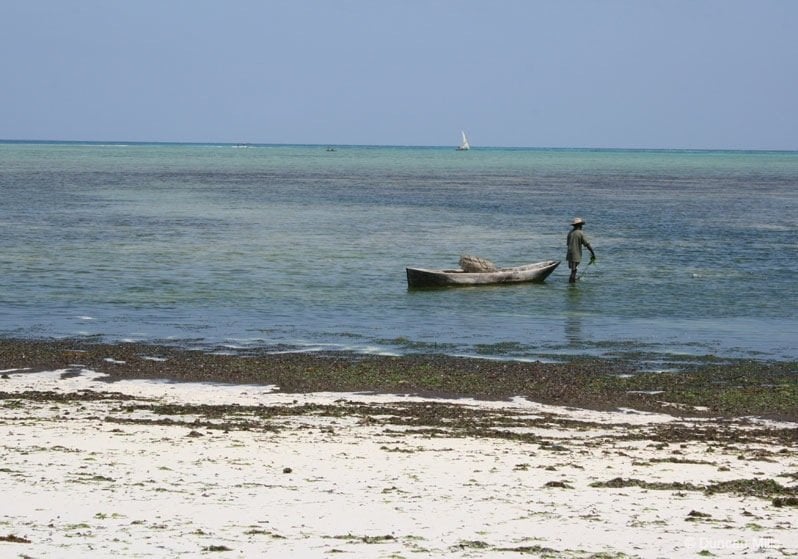 turquoise sea at zanzibar