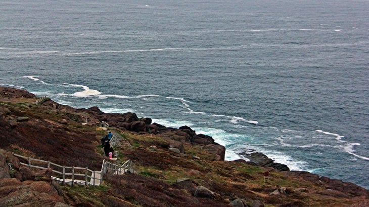 rugged coast of Cape Spear