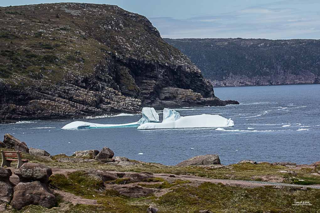 newfoundland coastline with iceberg